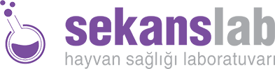 Sekans Laboratuvar